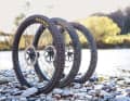 Schwalbe, Maxxis, Continental: According to our reader survey, the three tyre giants account for 90 percent of interest in buying tyres. All other brands landed in the low single-digit percentage range.