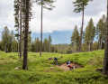 This section blends in nicely with the alpine meadow.