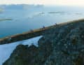 Sea below, snow above: biking in summer in Norway.