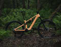 The File Plus with XT Di2 and Lyrik Select+ fork is available for 6999 euros.