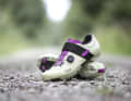 Mit dabei ist der Fizik Fento Ferox Carbon