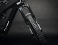 Thick tubes: The Fox 38 is made for tough terrain and offers 170 millimetres of travel.