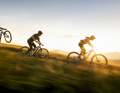 Playtime: To ride long and playfully downhill, you first have to go all the way up. Thanks to battery options (600/800/1050 with extender) in all models, the Jam² ensures that the uphill is safe.