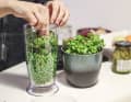 Frisch und gesund soll das Essen meines Meal-Prep-Selbstexperimentes sein. Noch dazu will ich die Woche über auf vegetarische Gerichte setzen.
