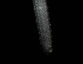 But its tread should also roll fast enough on hard surfaces and the road.