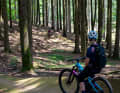 When the light is just right, the bends become a work of art. Here is the gentle ‘Czech yourself’ trail