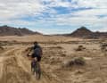 Incredible vastness: The field quickly spread out in the Namib Desert.