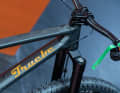 Der Carbonrahmen des True BC Knuth wird in Deutschland gebaut und kommt mit einer progressiven Trailbike-Geometrie.