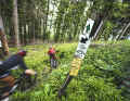 In the so-called Bikeländ Eberbach: A total of twelve trails make up the Bikeländ Eberbach. If you combine all the trails into one tour, you end up with 44 kilometres and 1800 metres in altitude.