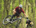 To find out whether you can have fun on the trails for around 2500 euros, we tested three all-mountain bikes in perhaps the best trail park in Germany.