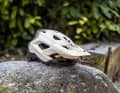 Fox Speedframe Pro: The Americans have revised their classic trail helmet. We were able to test the update before the official launch