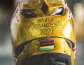 Den gibt es nur ein Mal. Red Bull schenkte Vali zum Weltmeister-Titel einen goldenen Helm – mit Buchstabendreher in der Gravur. Upps!