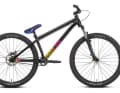 NS Zircus: 12.3 kilos, 929 euros