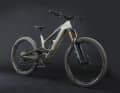Drei Modelle bietet Canyon vom neuen Freerider an. Das Top-Modell (7999 Euro) gibt’s sogar in Ken-Roczen-Lackierung (rot/weiß/schwarz).
