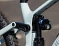 Der zweiteilige Umlenkhebel gibt dem Bike eine besondere Optik.