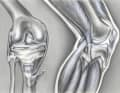 Can I still mountain bike safely with knee osteoarthritis? In this interview, the knee expert explains what's important.