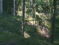 Fast 29er hardtails are still in fashion. The new Ghost Lector HT aims to be a particularly fast model with a rigid rear end.