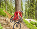Gut festhalten! Auf den schnellen, ruppigen Downhill-Passagen zeigte sich das Giant leicht überfordert.
