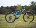 Giant schickte das neue Anthem Advanced SL in einer Sonderlackierung in den Test.