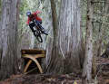 Trees like a work of art, Drop like a work of art and Rider Russ Fountain like Russ Fountain.