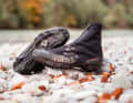 The Giro Blaze has a completely different design to most other winter shoes. Will the concept work in practice?
