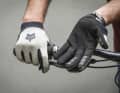 Fairer Preis, direktes Griffgefühl - Fox hat mit dem Ranger Glove eine Allrounder für Trail-Einsätze im Sortiment