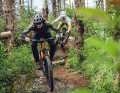 The Root Miller follows the trend towards MTBs that are increasingly suitable for downhill riding.