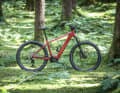 Canyon Gand Canyon:On 8: 3799 euros // 120 mm // 29 inches // Bosch CX // 750 Wh Powertube permanently installed // 24.04 kilos