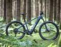 Radon Jealous Hybrid 9.0 750: Bosch Performance CX // 750 Wh // 24.52 kg // 3199 euros.