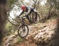 Despite its high weight, the Haro is surprisingly manoeuvrable and can be pulled onto the rear wheel with ease. This is primarily due to the short chainstays (435 millimetres) in combination with the small 27.5-inch rear wheel.