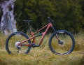 The Ripley AF relies on the virtues of its expensive carbon brother.