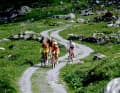 Flow trails or jumplines like in Schladming? Not a chance! In the golden age of mountain biking, you usually had to make do with bland forest or gravel roads.