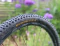 Cryptic names characterise the Continental portfolio. The new Magnotal is aimed at downcountry to all-mountain riders.
