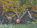 New spring: The Chiru Veldt is likely to be the starting signal for 32-inch gravel bikes.