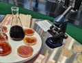 One possibility that will be shown in the Future Lab at ISPO is mushrooms!
