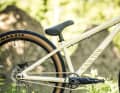 Set and forget: Thanks to modifications to the drivetrain and dropouts, the chain should lie very reliably on the chainring