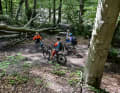 There should no longer be any overhanging trees on the signposted trails.