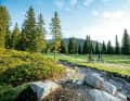 In the valley you will find slightly hilly terrain on good sandy ground.