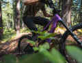 BIXS has presented its new Light-E-MTB Sign-E in three versions.