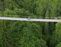 Or the impressive Santa Lucia suspension bridge near Pleiburg