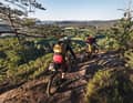 800 kilometres of signposted routes for mountain bikers - we have picked out the trails in the south of the Palatinate Forest.