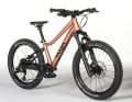 Suspension fork and mountain bike tyres: Even 20-inch bikes like the Woom Off Air 4 have everything on board to have fun off-road.