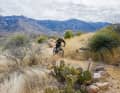 There are three large trail networks around Tucson.