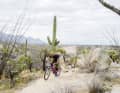 Impressive and surreal in a cool way: biking like in a huge botanical garden.