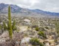 Freier Blick und feinste Trails: Tucson ist ein Traum-Revier für Mountainbiker.