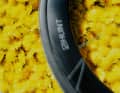 En soufflerie, la roue a été testée 0,06 watt plus vite que la Roval Rapide Sprint, qui pèse 1395 grammes.