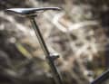 The short seat tube of the Last Asco deserves a long dropper post. We opted for a Rockshox Reverb AXS with an adjustment range of 200 millimetres.