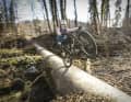 Trailbike nach Testers-Geschmack: Ein leichtes Gewicht zahlt auf den Spieltrieb des Last Asco ein.