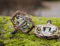 The Leatt AllMtn 6.0 comes with a massive cage and four solid pins per side. The binding is SPD-compatible and has a scale for adjusting the release hardness.