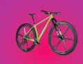 Do-it-yourself jewel: The Leovelo Goliath 32-inch hardtail is a real marvel.